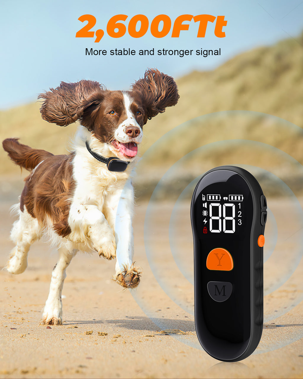 Dog Shock Collar 2 Dogs (8-120Lbs) - 2600 ft Waterproof Training Collar for Dogs Large Medium Small with Rechargeable Remote
