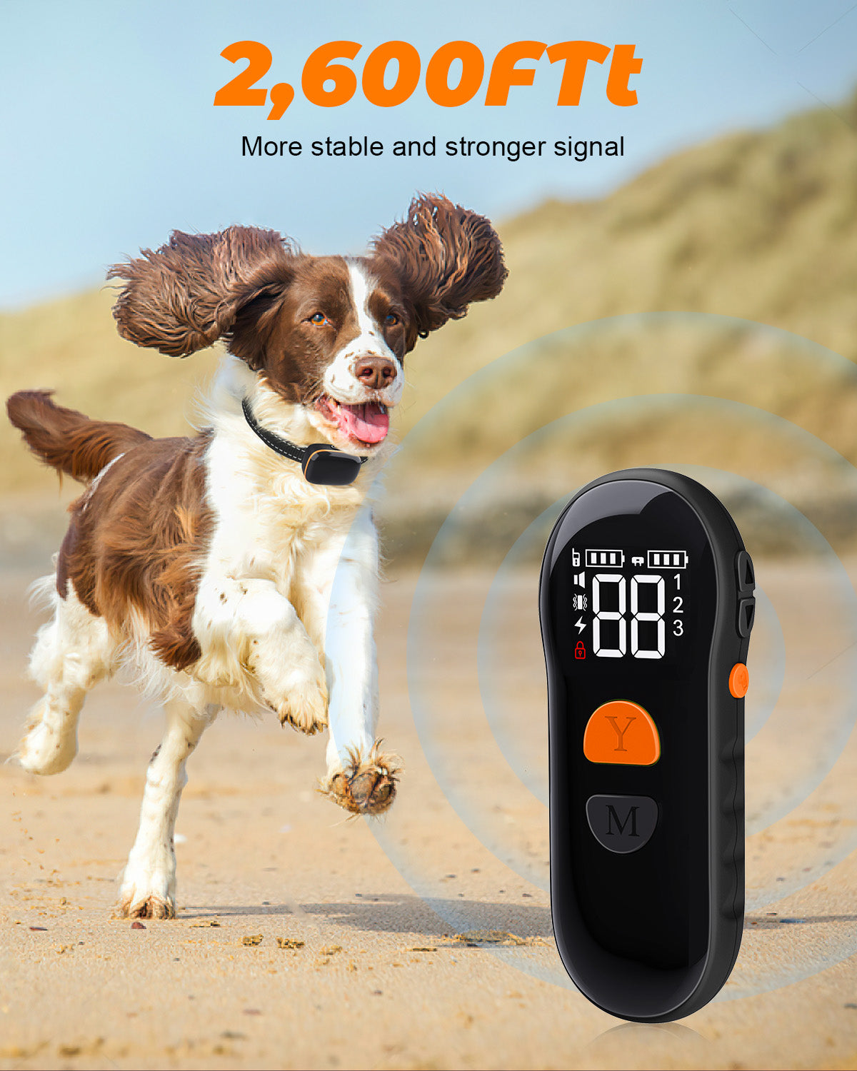 Dog Shock Collar 2 Dogs (8-120Lbs) - 2600 ft Waterproof Training Collar for Dogs Large Medium Small with Rechargeable Remote
