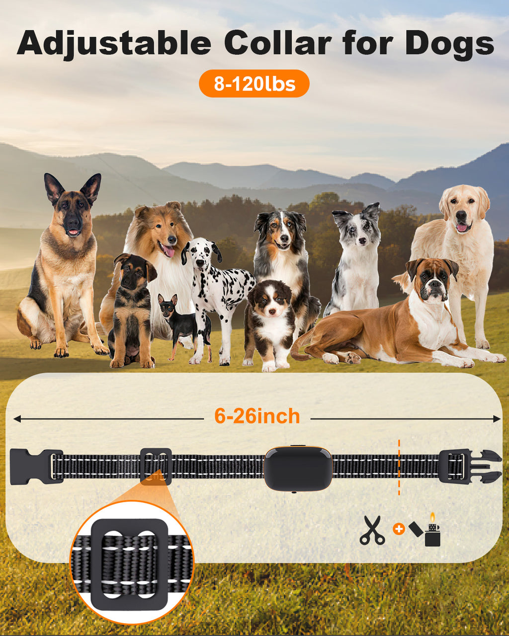 Dog Shock Collar 2 Dogs (8-120Lbs) - 2600 ft Waterproof Training Collar for Dogs Large Medium Small with Rechargeable Remote
