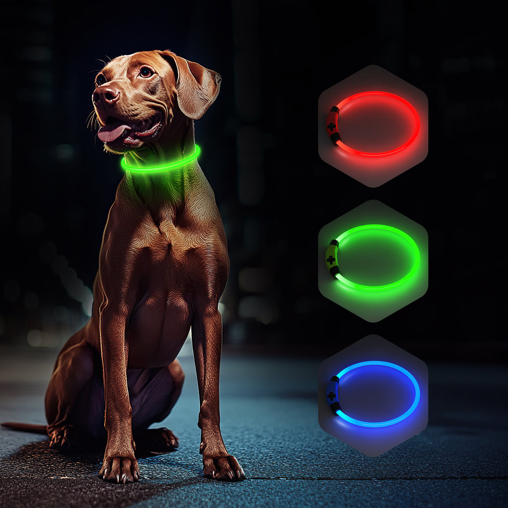 LED Dog Collar USB Rechargeable Glowing, Pet Collars Lighted Up Safety Necklace Glow in the Dark for You & Your Dogs
