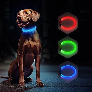 LED Dog Collar USB Rechargeable Glowing, Pet Collars Lighted Up Safety Necklace Glow in the Dark for You & Your Dogs