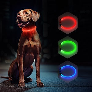 LED Dog Collar USB Rechargeable Glowing, Pet Collars Lighted Up Safety Necklace Glow in the Dark for You & Your Dogs