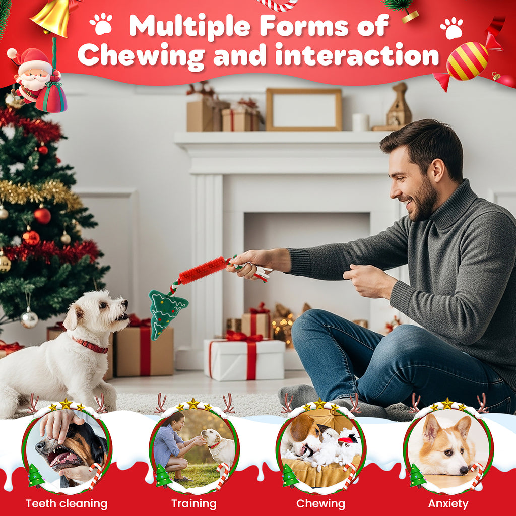 Jewyow Christmas Dog Toys , Squeaky Dog Toys, Interactive Plush Dog Toys with Crinkle Paper, 10 Pieces