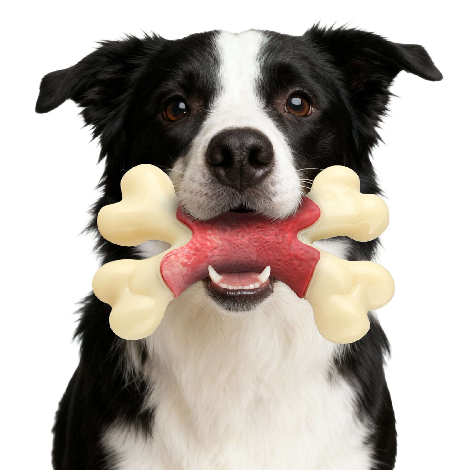 Dog Toy for Aggressive Chewer- for Large Medium Dogs, Food Bone Toy for Dogs, Teething ,Beef Flavored Dog Chew Toys