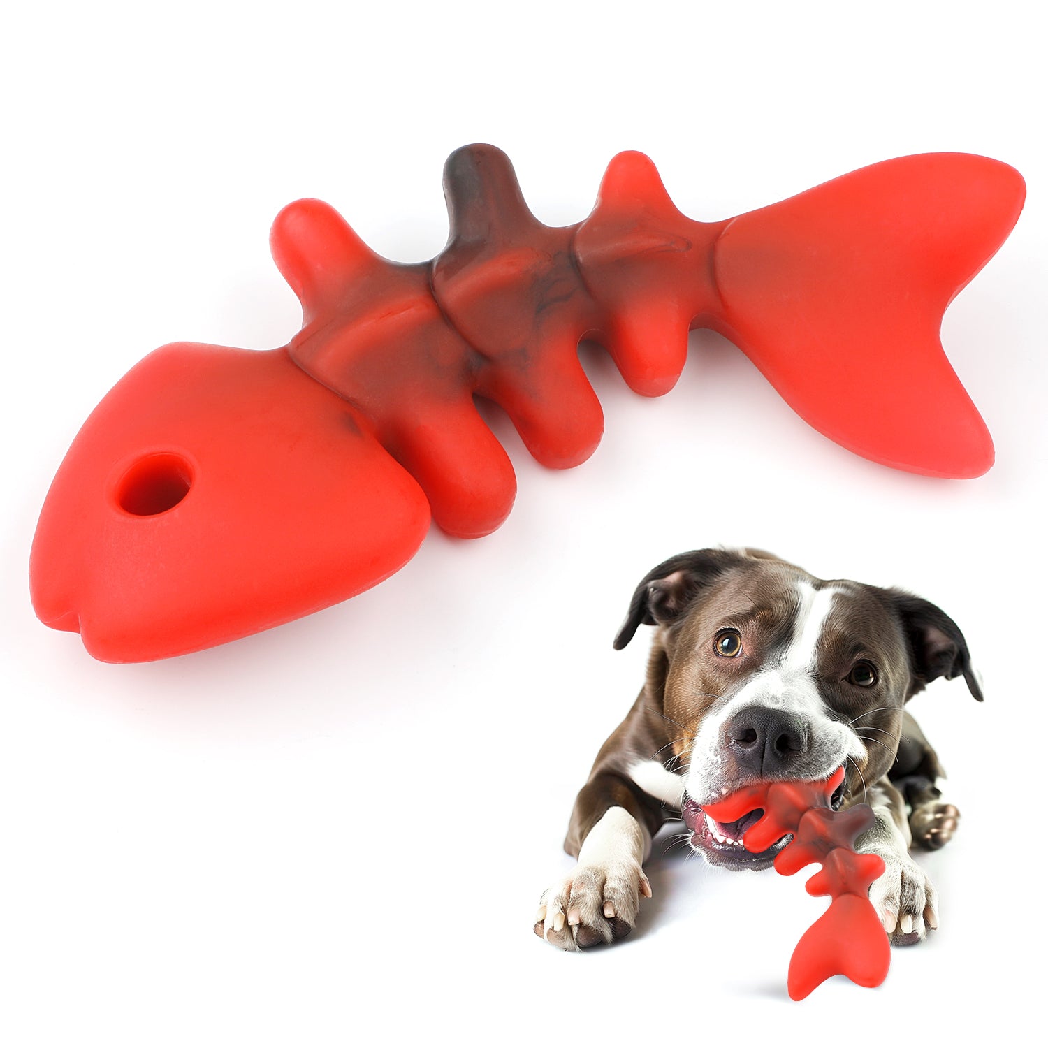 Charkool Fishbone Durable Dog Chew Toy for Aggressive Chewers, Real Fish, Nylon Pet Toys，Red