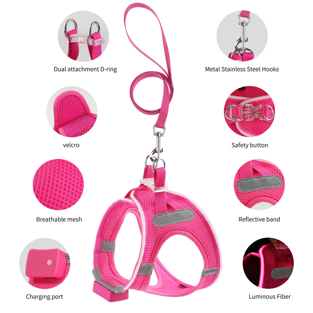 LED Dog Harness Rechargeable, Lighted Dog Vest Harness for Night Walking,Reflective Safety Vest for Small Dogs,Adjustable Soft Mesh