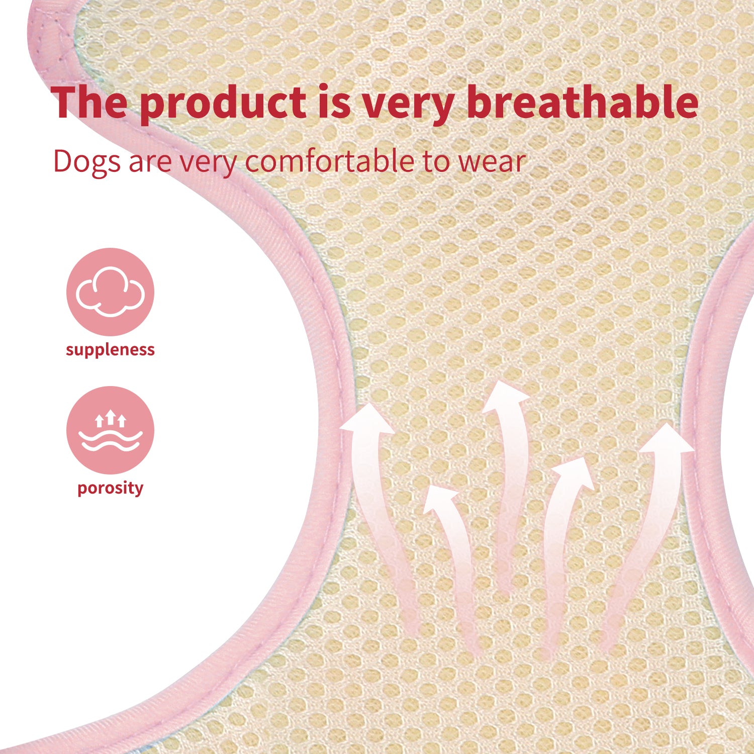 Dog Harness and Leash Set, No Pull Dog Vest Harness for Walking and Training, Adjustable, Easy Control and Breathable Pet Harness for Small Dogs