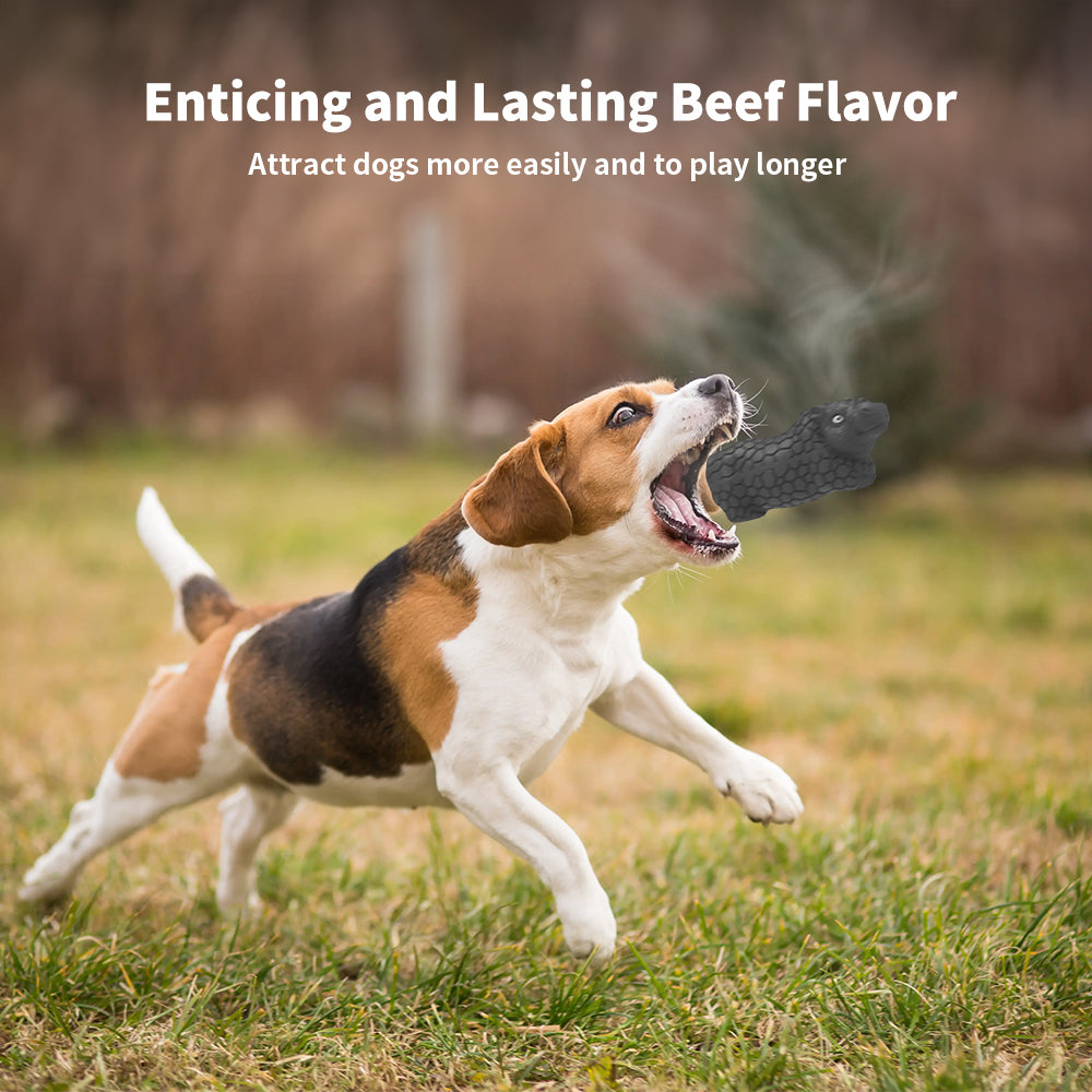 Charkool Dog Toys for Aggressive Chewers, Indestructible Dog Toys for Large Dogs Breed, Beef Flavored