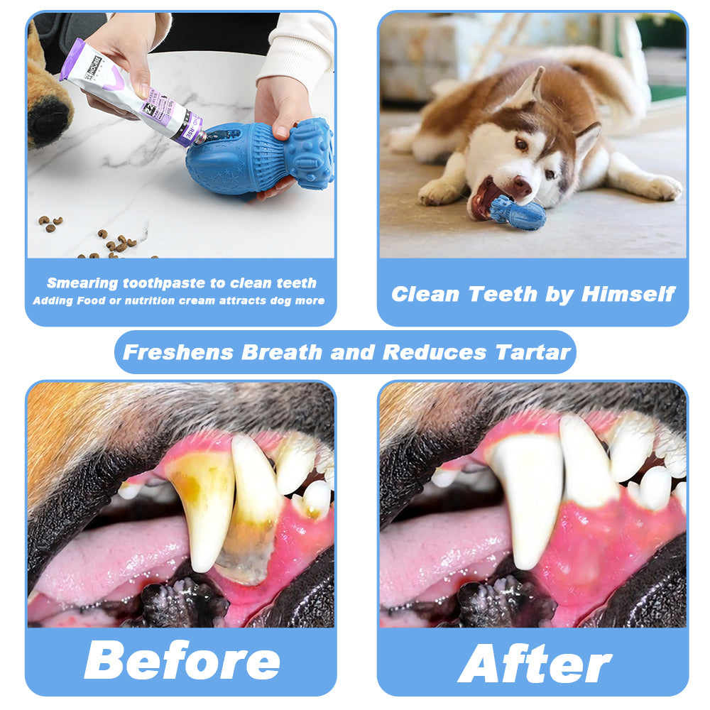 Pet Squeaky Dog Toys for Aggressive Chewers, Large Medium Dog Birthday Toy Dog Toothbrush Interactive Tough Durable Dog Toys