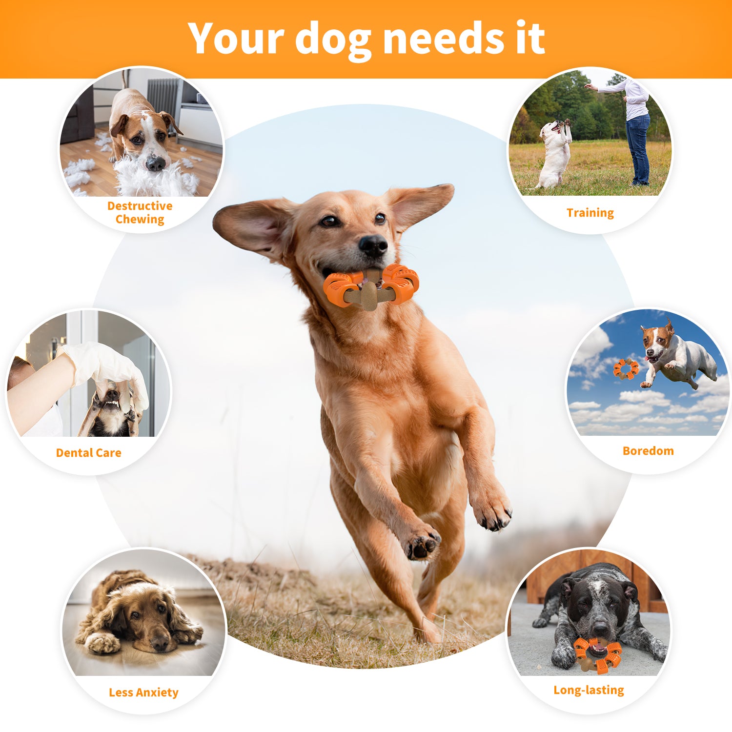 Indestructible Dog Chew Toy , Dog Toys for Aggressive Chewers, Flavor Medley