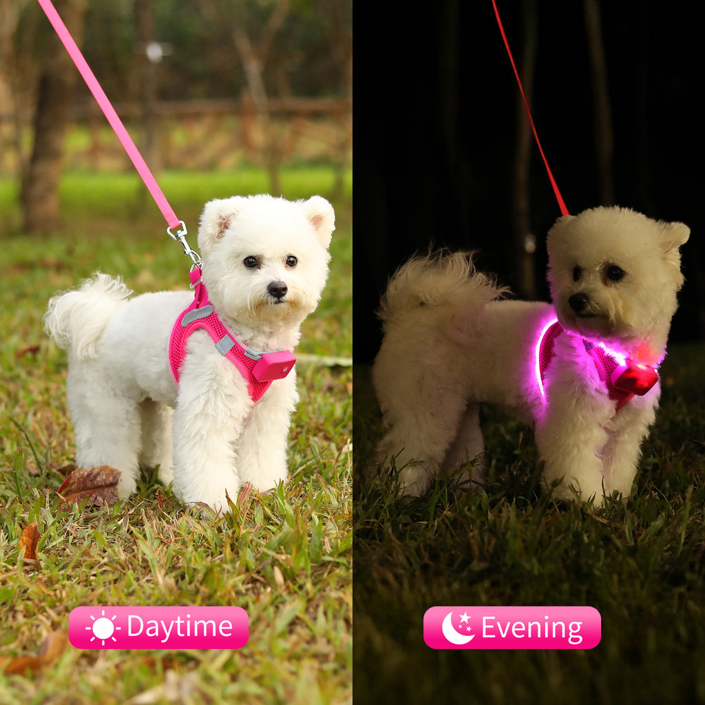 LED Dog Harness Rechargeable, Lighted Dog Vest Harness for Night Walking,Reflective Safety Vest for Small Dogs,Adjustable Soft Mesh