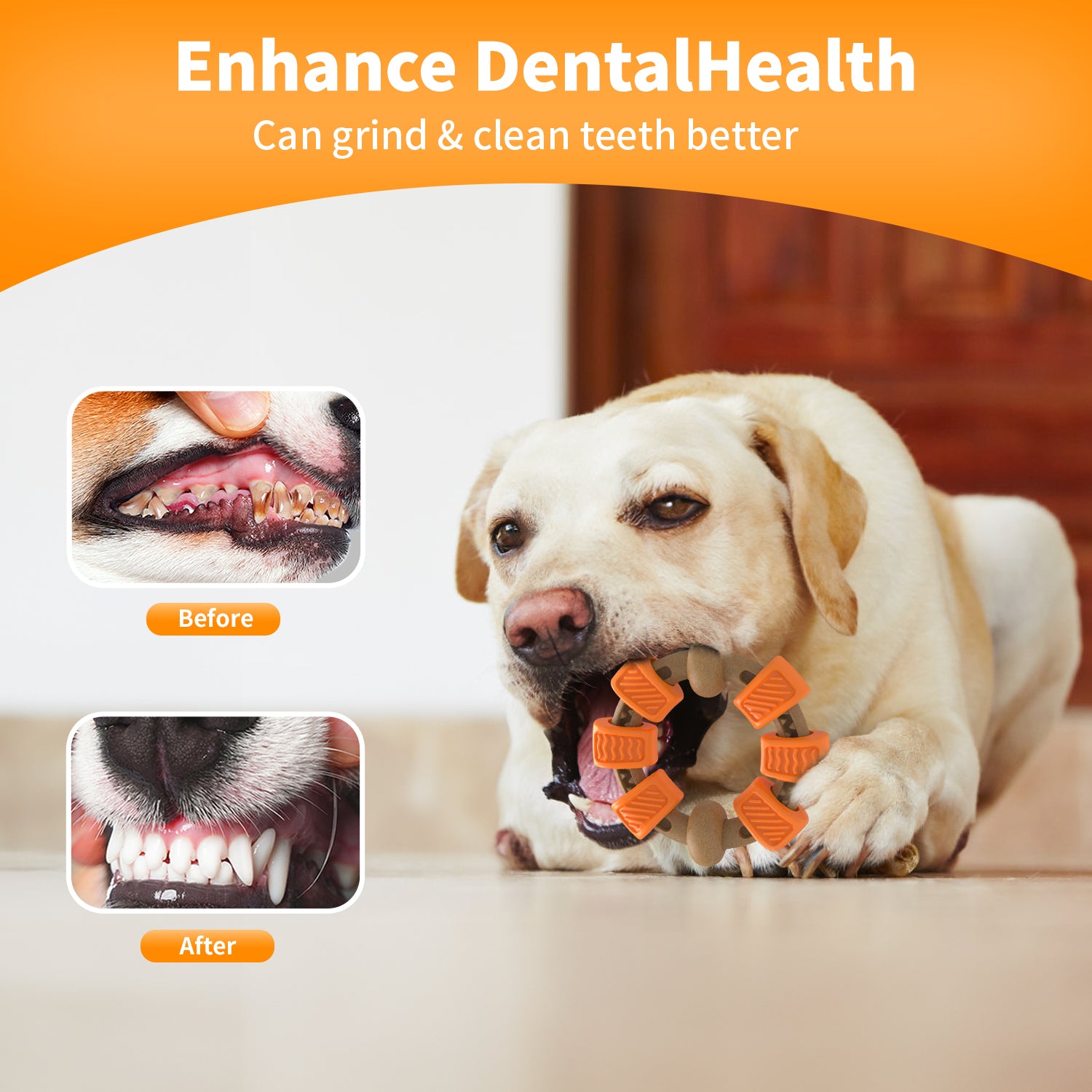 Indestructible Dog Chew Toy , Dog Toys for Aggressive Chewers, Flavor Medley