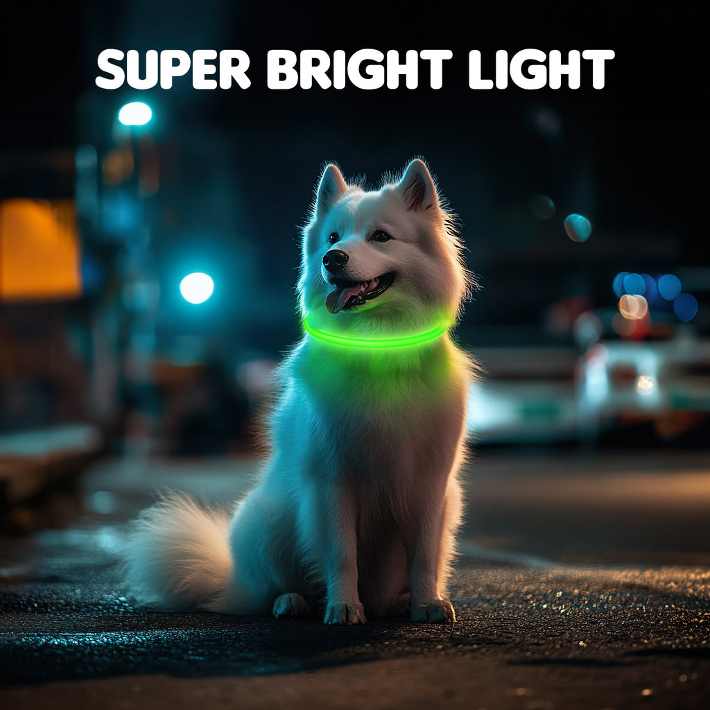 LED Dog Collar USB Rechargeable Glowing, Pet Collars Lighted Up Safety Necklace Glow in the Dark for You & Your Dogs
