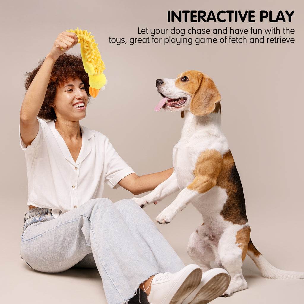 Squeaky Dog Toys Set with Soft Crinkle, Interactive Play, Cute Plush Animal Enrichment Toys for Puppies, Gigglers Chicken and Duck