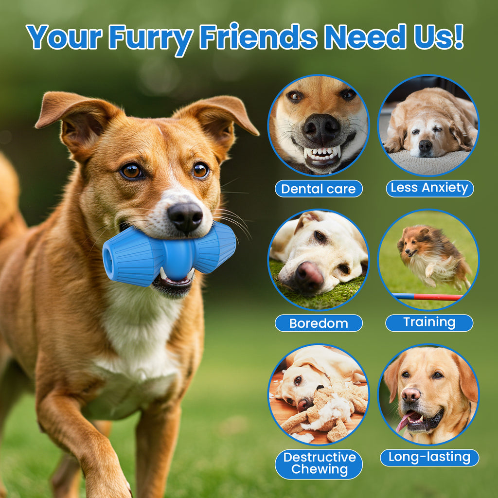 Jewyow Indestructible Rubber Chew Toy for Aggressive Chewers - Beef Flavored Dog Toys for Large Breeds