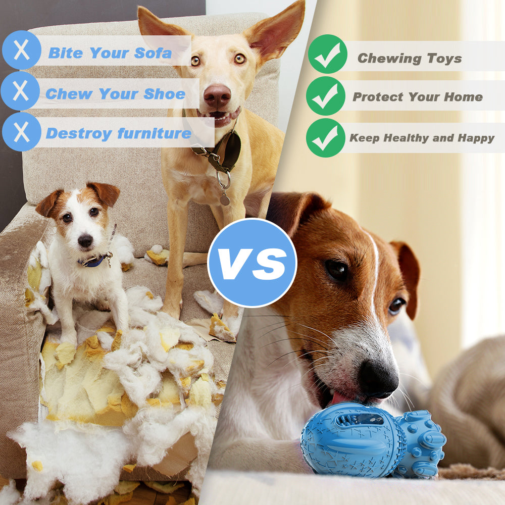 Pet Squeaky Dog Toys for Aggressive Chewers, Large Medium Dog Birthday Toy Dog Toothbrush Interactive Tough Durable Dog Toys