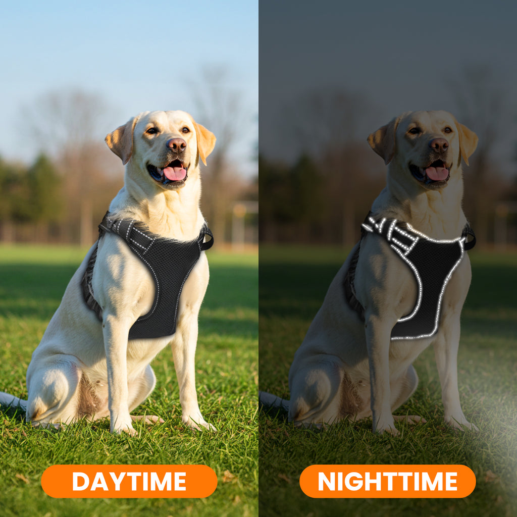 Jewyow Adjustable No-Pull Harness: Reflective Dog Vest with Handle | Soft Padding & Breathable Harness for Small Dogs, Black,XS