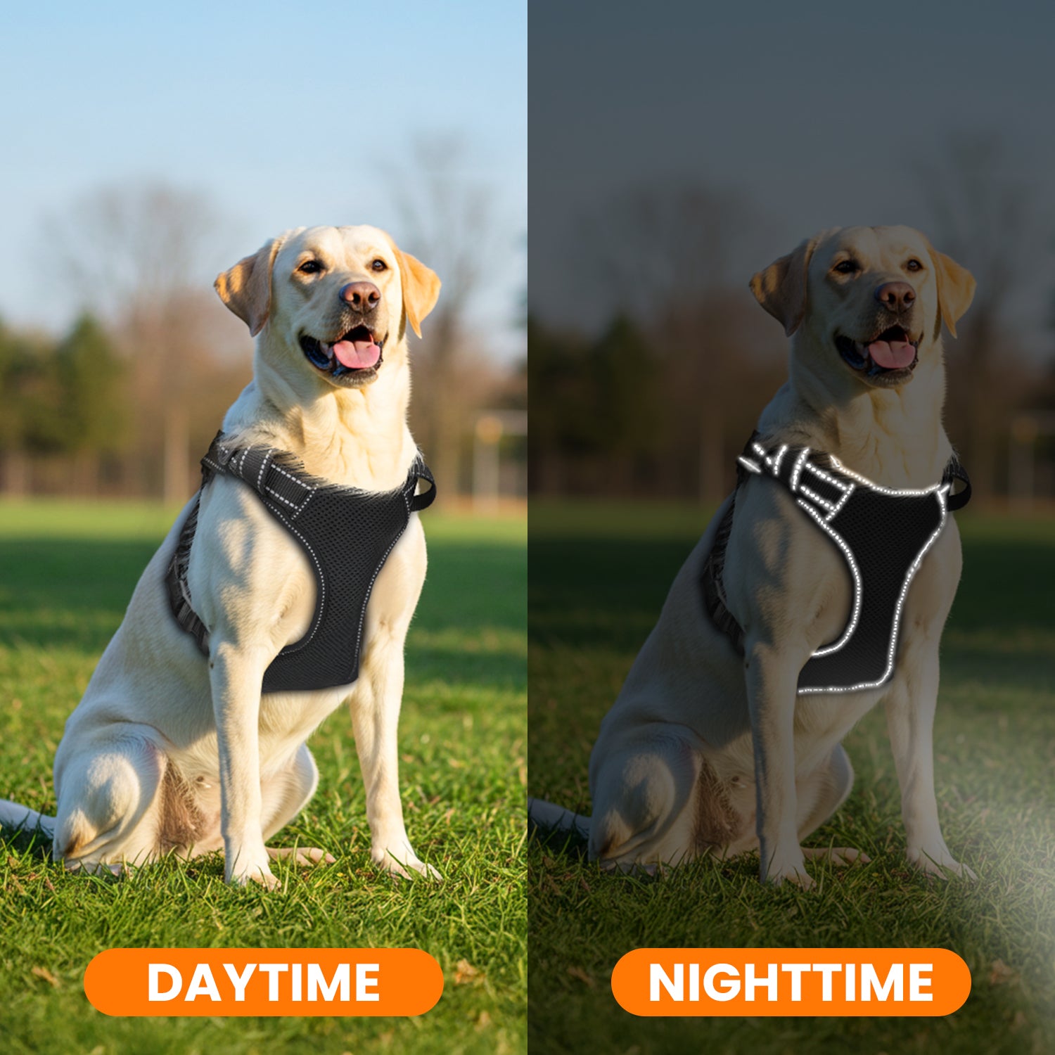 Jewyow Adjustable No-Pull Harness: Reflective Dog Vest with Handle | Soft Padding & Breathable Harness for Small Dogs, Black,XS