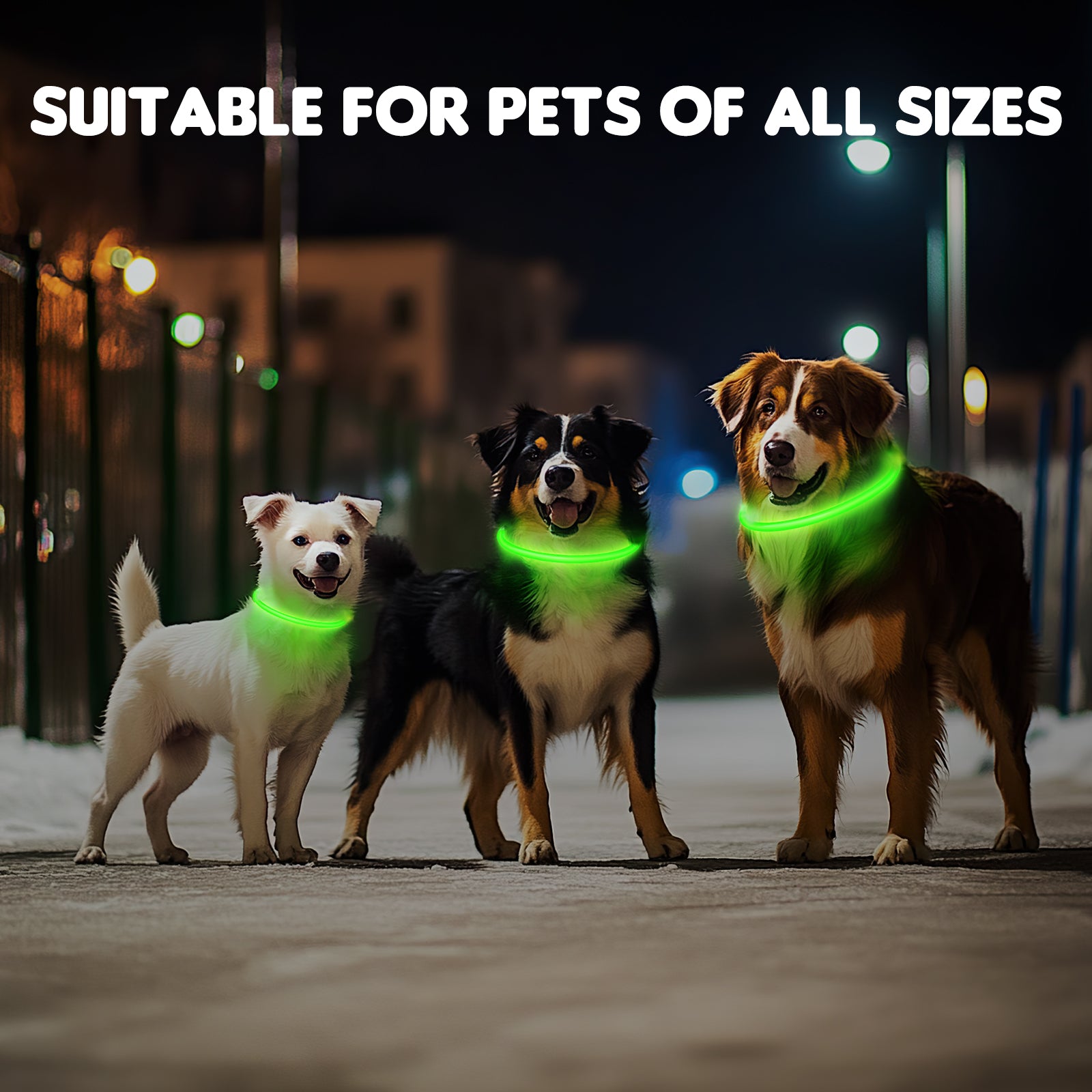 LED Dog Collar USB Rechargeable Glowing, Pet Collars Lighted Up Safety Necklace Glow in the Dark for You & Your Dogs