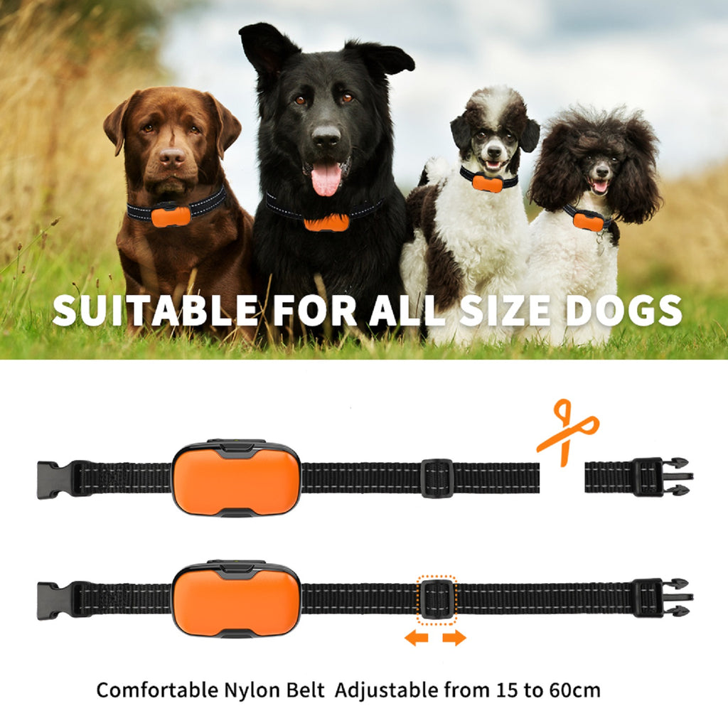 No Shock Collars for 2 Dogs with Remote 1000ft, Waterproof & 3 Modes Beep Vibration, Dog Training Collar for Large Medium Small, Black