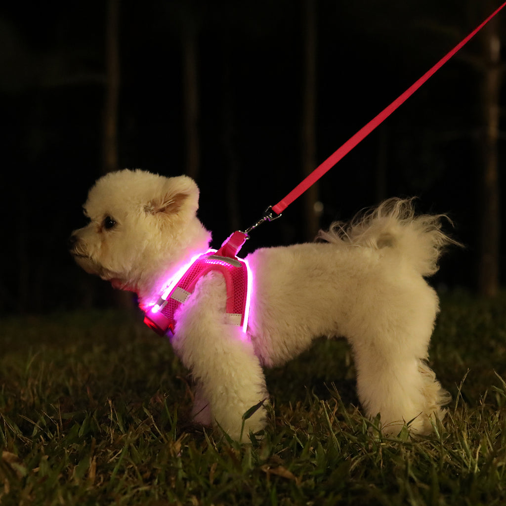 LED Dog Harness Rechargeable, Lighted Dog Vest Harness for Night Walking,Reflective Safety Vest for Small Dogs,Adjustable Soft Mesh