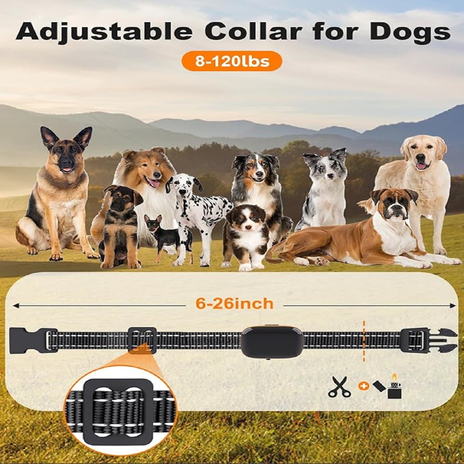 Charkool Dog Shock Collar with Remote,3 Modes Beep Vibration& Remote 2600Ft Shock Collar for Large Medium Small Dogs 8-120lbs