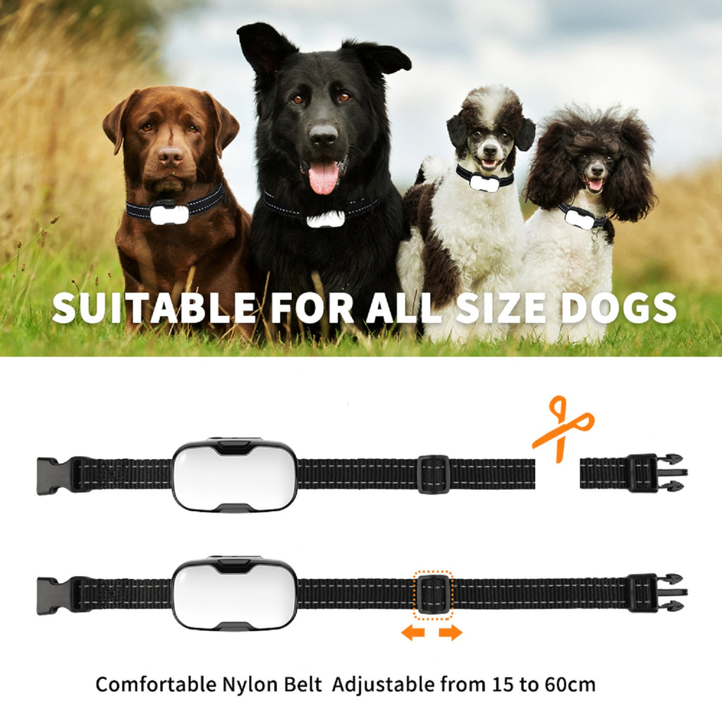 Charkool Shock Collar with Remote 1000ft, Waterproof & 3 Modes Beep Vibration, Dog Training Collar for Large Medium Small