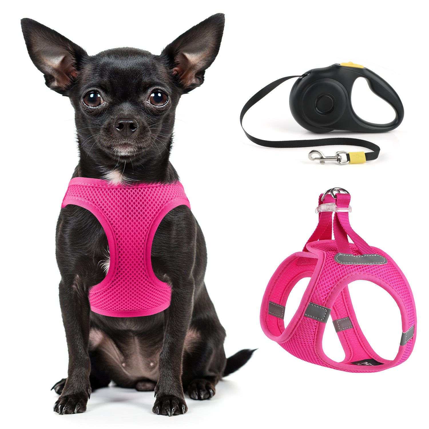 Charkool Puppy Harness, Dog Harness with Retractable Dog Leash, All Weather Mesh, Reflective, Breathable