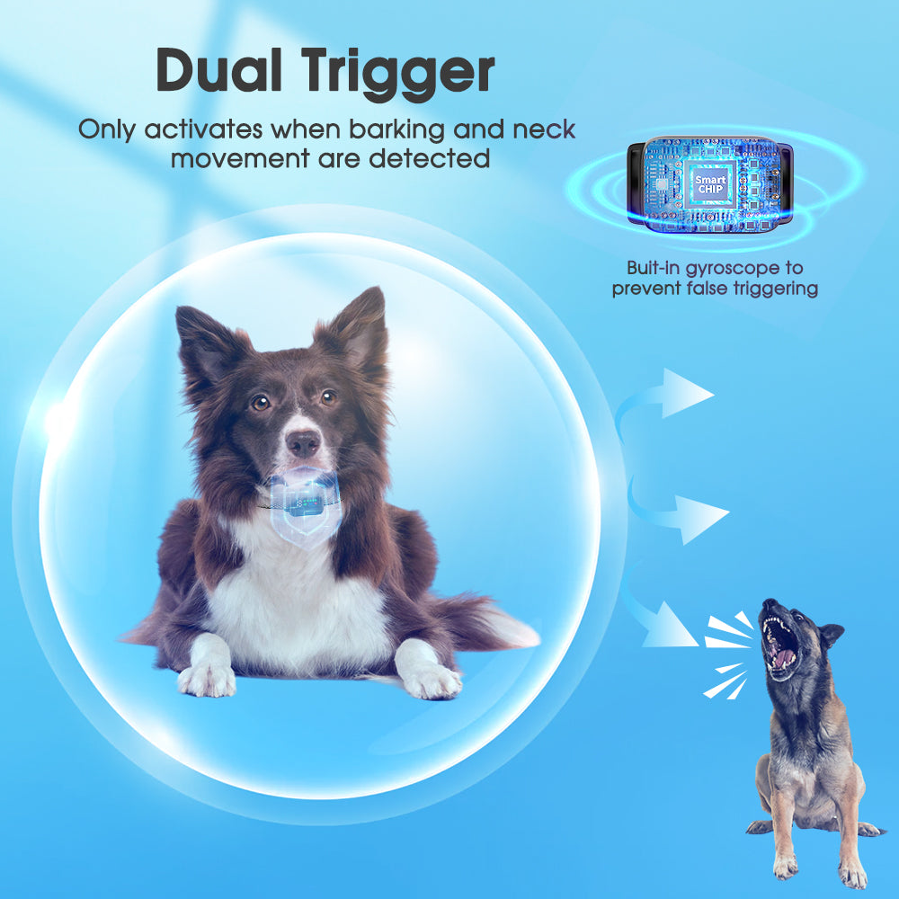 Dog Bark Collar, Charkool Rechargeable Smart Collar, Anti Barking Training Collar with 7 Adjustable Sensitivity Beep Vibration Shock, Bark Collar for Medium Small Dogs