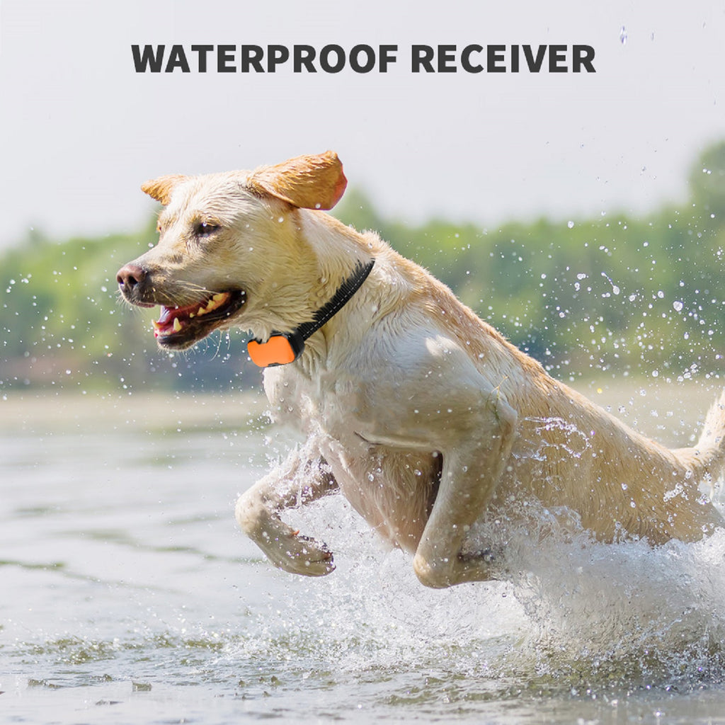 No Shock Collars for 2 Dogs with Remote 1000ft, Waterproof & 3 Modes Beep Vibration, Dog Training Collar for Large Medium Small, Black