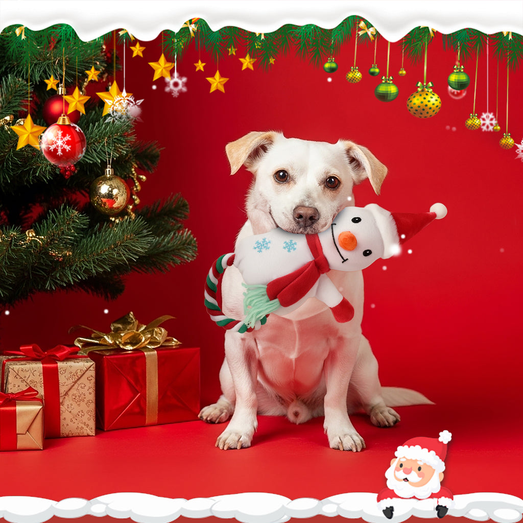 Jewyow Christmas Dog Toys , Squeaky Dog Toys, Interactive Plush Dog Toys with Crinkle Paper, 10 Pieces